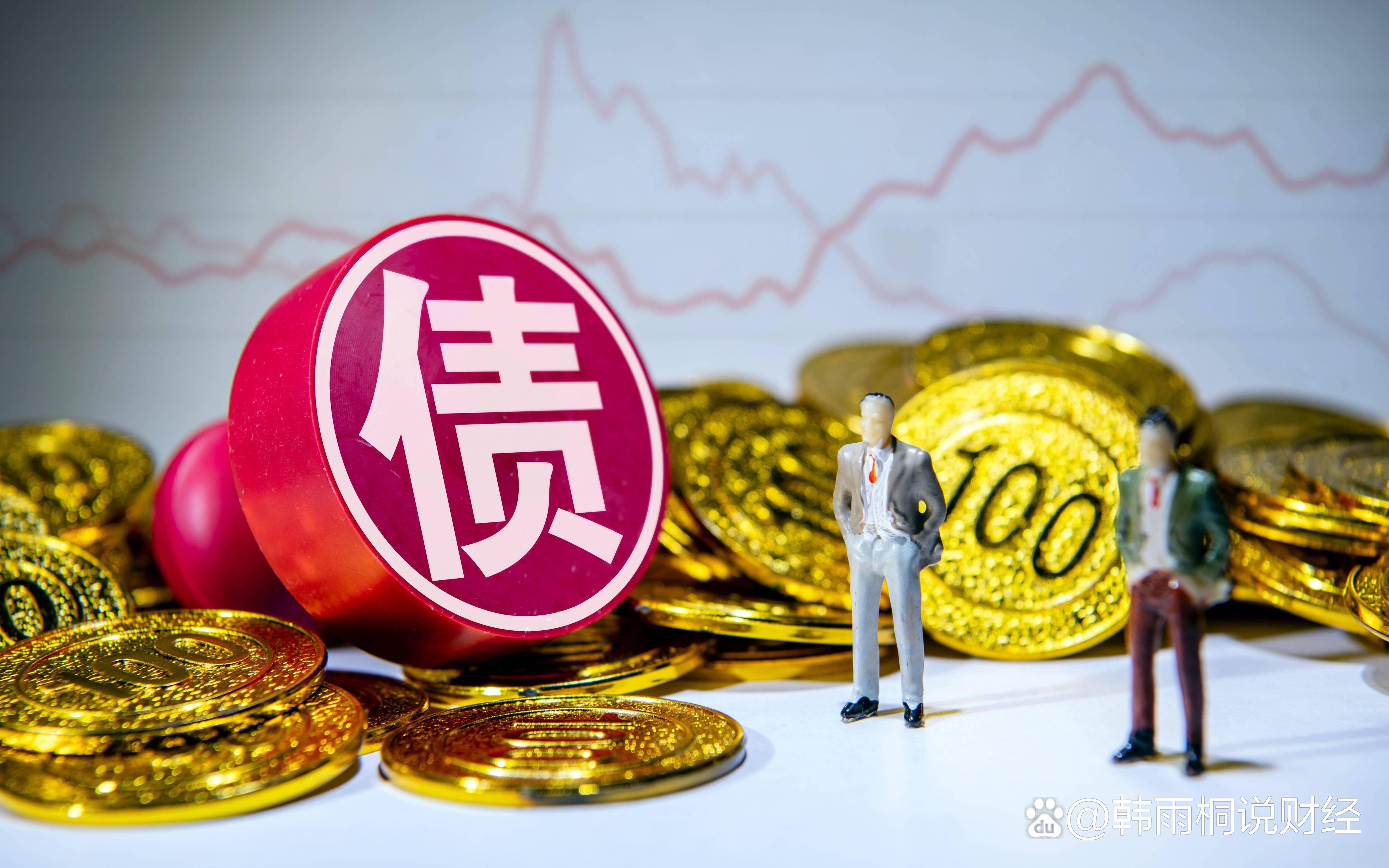 再融资信息披露(再融资信息披露的目的)固原市