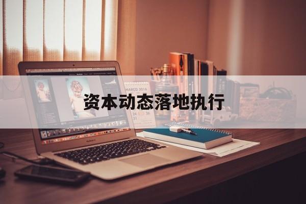 资本动态落地执行(资本动态落地执行什么意思)固原市