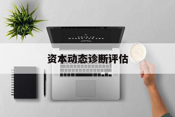 资本动态诊断评估(资本动态诊断评估方法)固原市