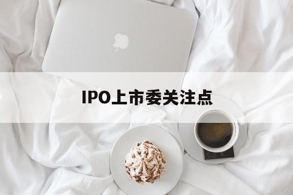 IPO上市委关注点的简单介绍